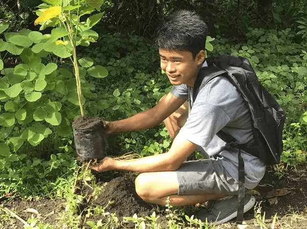 inspiringlife.pt - Nas Filipinas foi aprovada uma lei que exige que os alunos plantem 10 árvores para se formar