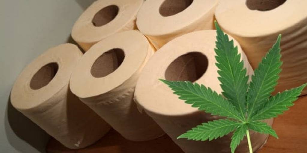 inspiringlife.pt - Papel higiénico de Cannabis pode salvar milhões de árvores por ano