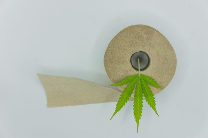 inspiringlife.pt - Papel higiénico de Cannabis pode salvar milhões de árvores por ano