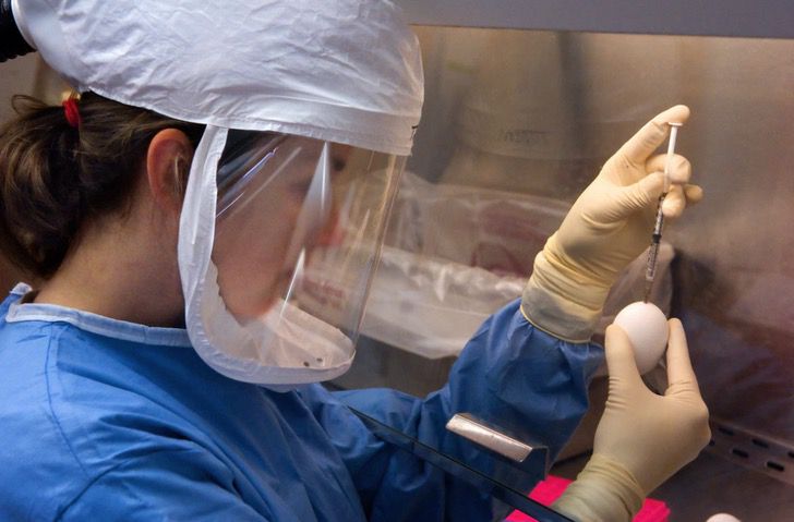 inspiringlife.pt - "Grande dia para a ciência": a primeira grande vacina contra COVID-19 tem 90% de proteção