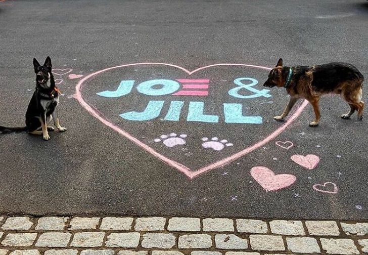 inspiringlife.pt - Joe Biden terá o primeiro cão resgatado na Casa Branca