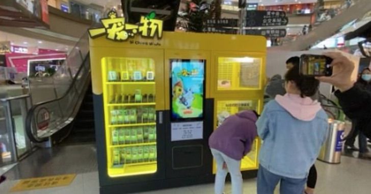inspiringlife.pt - Máquinas oferecem cães e gatos como prémios num shopping chinês
