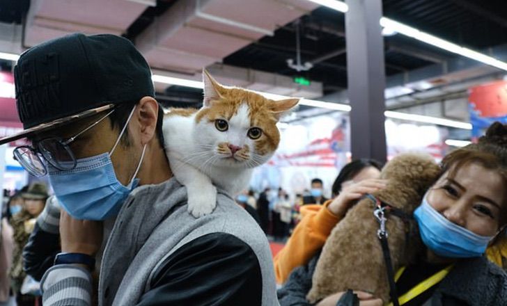 inspiringlife.pt - Máquinas oferecem cães e gatos como prémios num shopping chinês