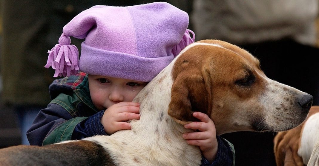 Menina escreve carta a Deus a pedir-lhe para cuidar do seu falecido cachorro no céu