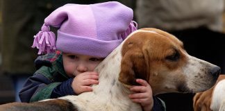 Menina escreve carta a Deus a pedir-lhe para cuidar do seu falecido cachorro no céu