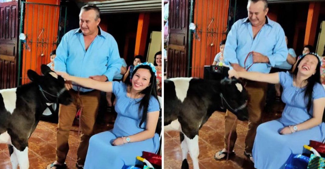 Mulher sorri ao receber uma vaca do seu sogro no chá de bebé