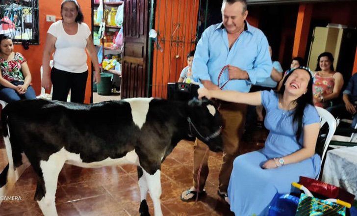 inspiringlife.pt - Mulher sorri ao receber uma vaca do seu sogro no chá de bebé