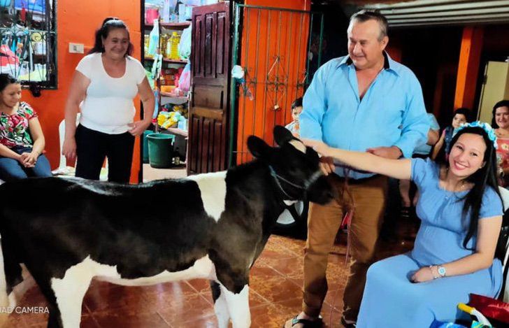 inspiringlife.pt - Mulher sorri ao receber uma vaca do seu sogro no chá de bebé