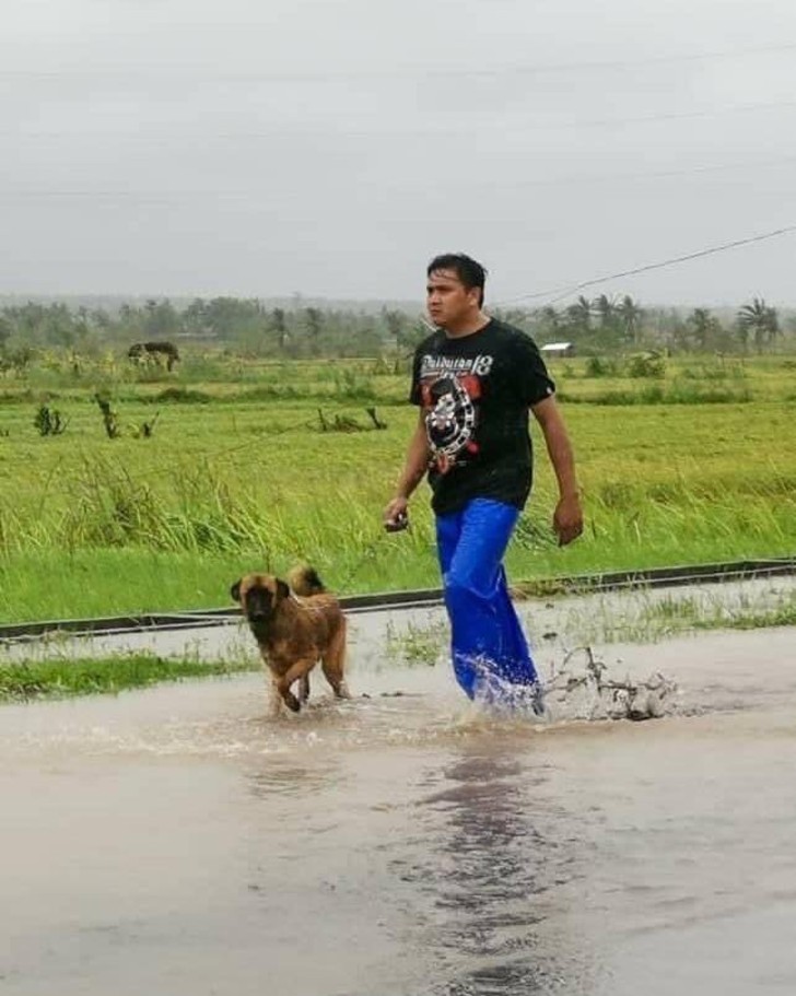 inspiringlife.pt - Pessoas salvam animais mesmo correndo risco de vida no meio do furacão Eta na América Central
