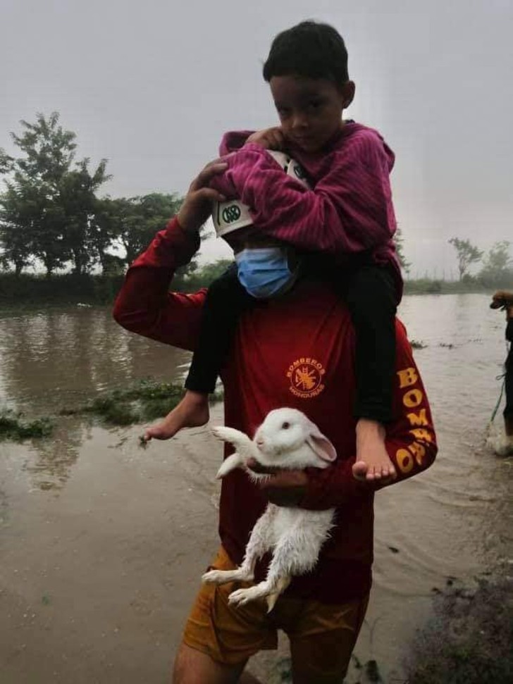 inspiringlife.pt - Pessoas salvam animais mesmo correndo risco de vida no meio do furacão Eta na América Central