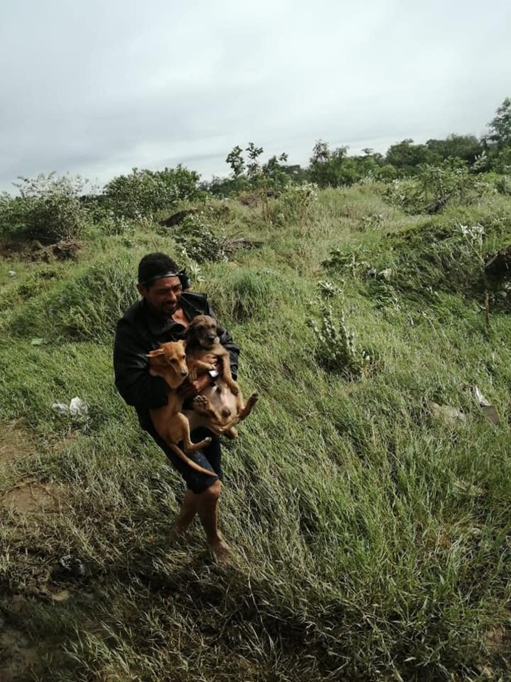 inspiringlife.pt - Pessoas salvam animais mesmo correndo risco de vida no meio do furacão Eta na América Central