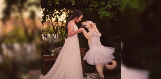 TikTok: Cachorra foi a dama de honra no casamento da sua dona