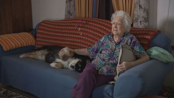 inspiringlife.pt - Cachorra herda 5 milhões do seu dono que morreu